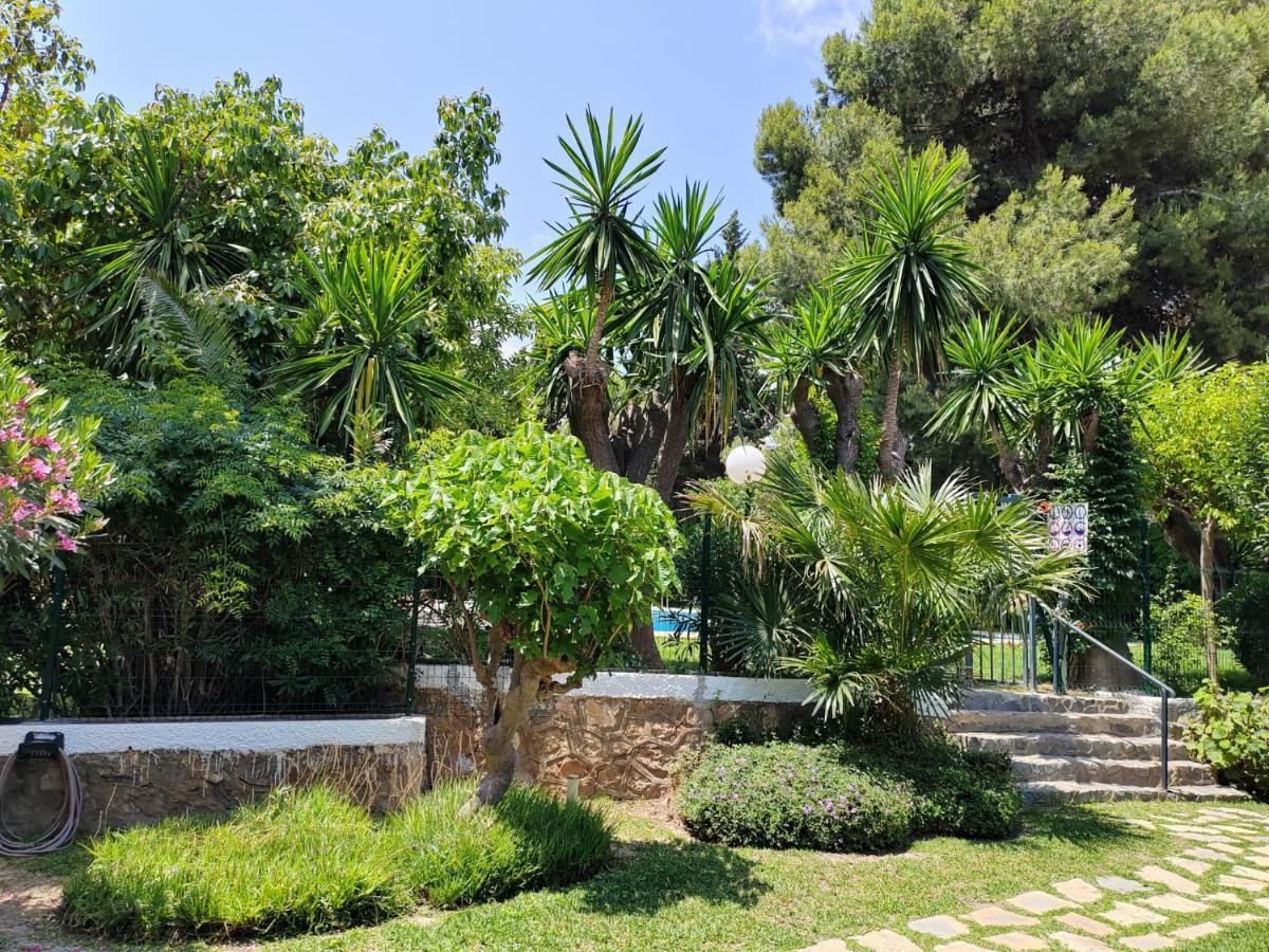 בנאלמדנה Apartamento La Torre,200M Hasta La Playa מראה חיצוני תמונה